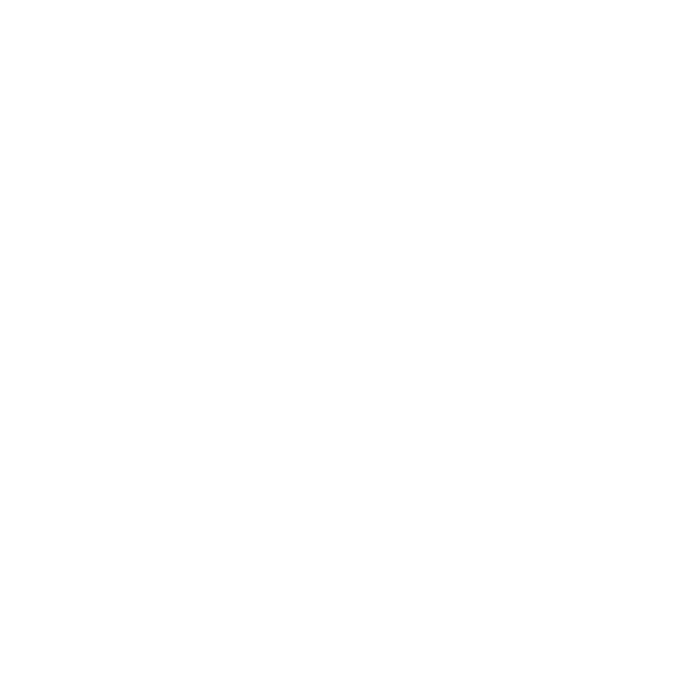 Logo evstudio-02